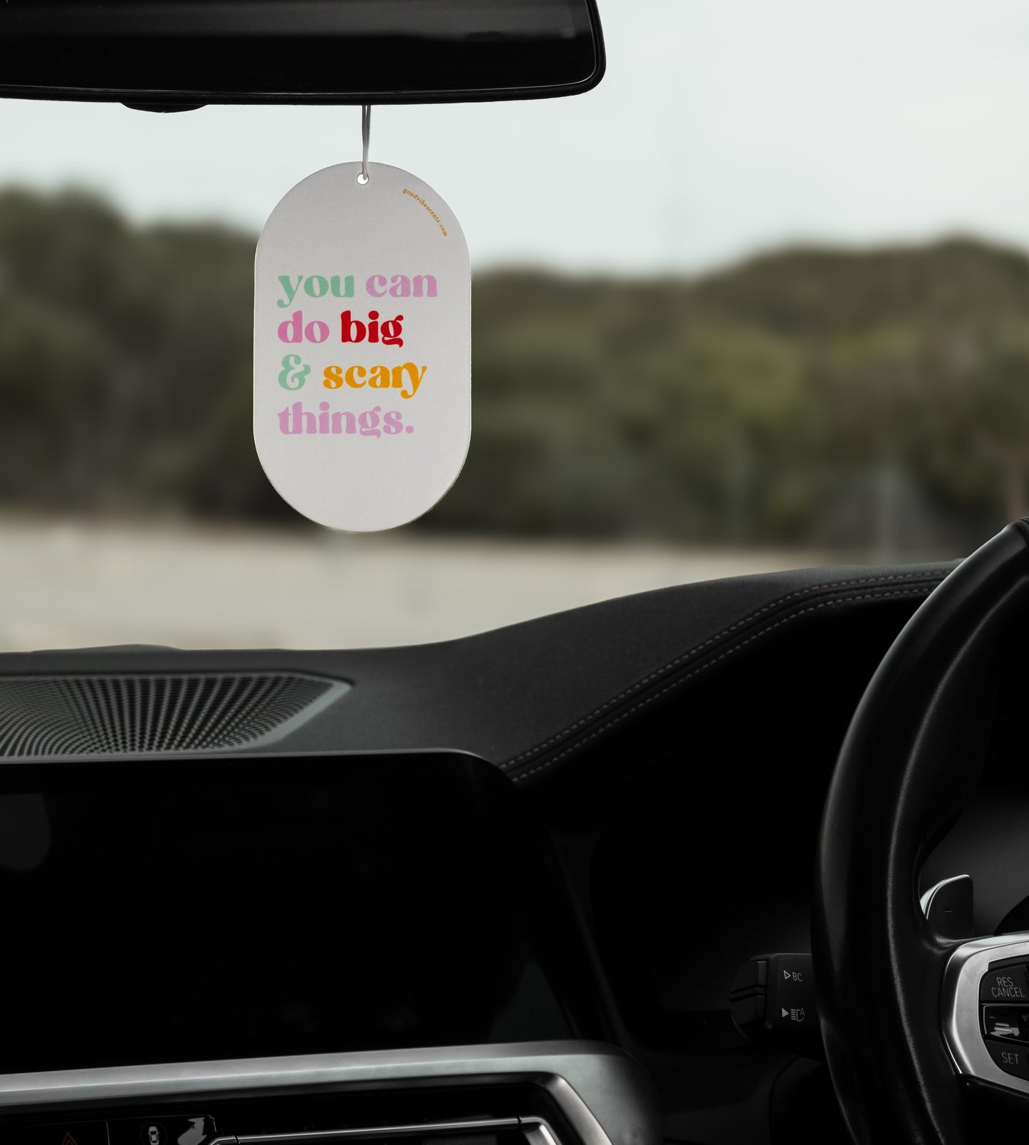 You Can Do Big Scary Things - Car Air Freshener